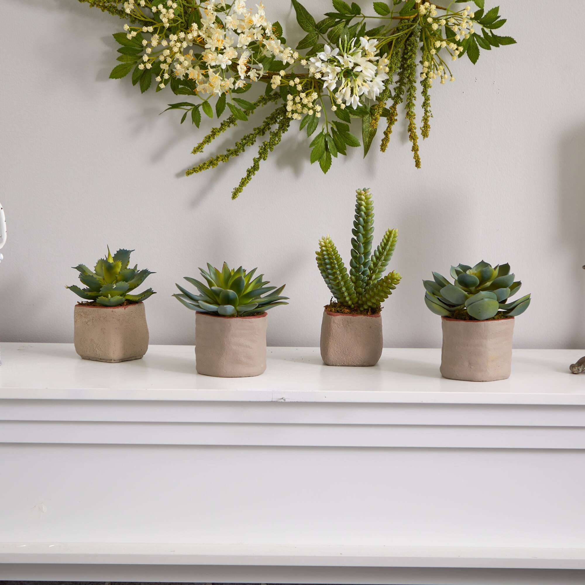 6" Potted Mixed Succulent Plants, 4ct.